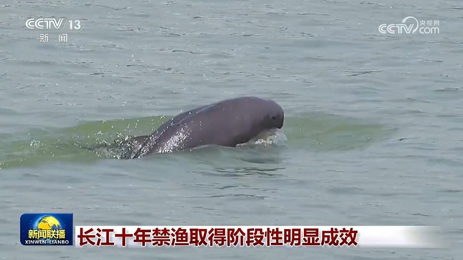 [视频]长江十年禁渔取得阶段性明显成效_2026-01-02_19_21_10.jpg