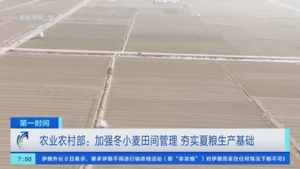 [第一时间]农业农村部,加强冬小麦田间管理_夯实夏粮生产基础_2026-02-09_08_33_10.jpg